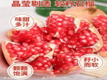 淅川突尼斯軟籽石榴基地批發(fā)價(jià)格，好水果