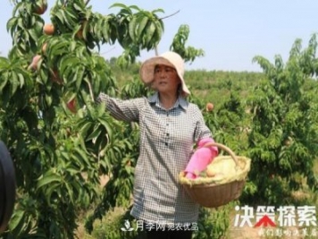 南陽(yáng)市南召縣南河店鎮(zhèn) 培育綠色農(nóng)業(yè)產(chǎn)業(yè)共享生態(tài)紅利