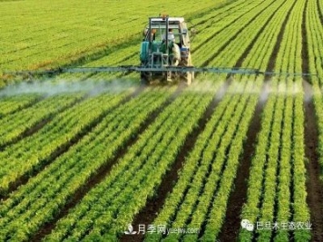 巴旦木生態(tài)農(nóng)業(yè)：河南三門峽為什么適合種植巴旦木？