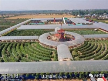 游玩好去處！內(nèi)鄉(xiāng)縣灌漲鎮(zhèn)歐月花海風(fēng)情園盛妝開園