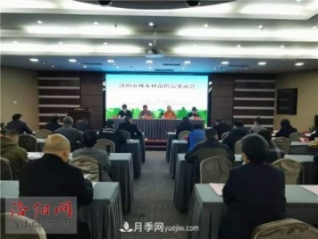 2.2億株！洛陽市可供今冬明春國土綠化使用的苗木種類齊全