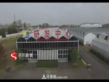 江蘇泗陽(yáng)新境界花卉基地：“花樣”產(chǎn)業(yè)助力鄉(xiāng)村振興