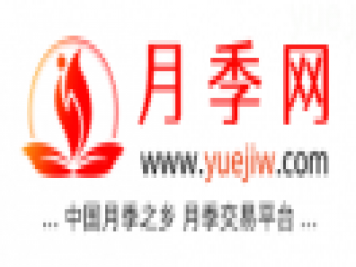 中國月季網，月季品種介紹和養(yǎng)護知識分享專業(yè)網站