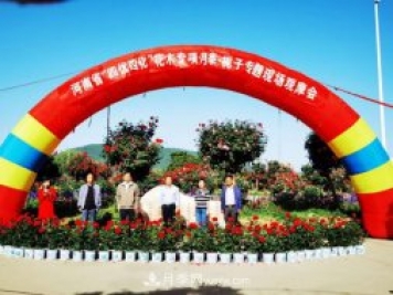 河南省四優(yōu)四化項(xiàng)目 助推南陽月季、梔子產(chǎn)業(yè)發(fā)展