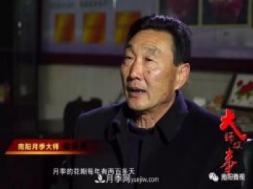 南陽月季大師——趙國強(qiáng)