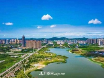 淮南市花、市樹是什么？是月季嗎？