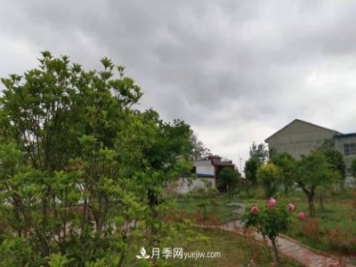 十三五以來(lái)，許昌市累計(jì)完成林業(yè)生態(tài)建設(shè)面積120余萬(wàn)畝