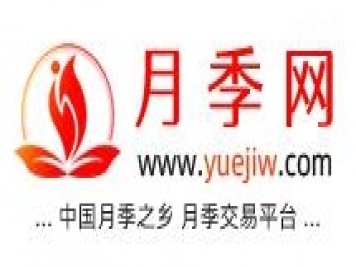 月季網(wǎng)的官網(wǎng)地址是什么？