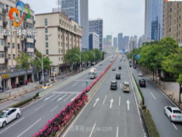 武漢市首條全月季景觀帶 為“五一”小長(zhǎng)假增色添彩