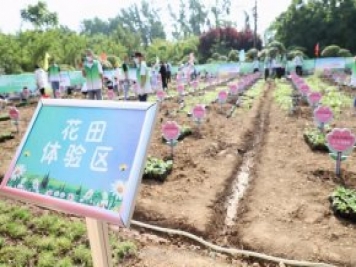 漯河城管園林科研所，邀請400余位市民花田體驗栽花