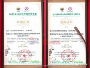 河北定州月季在揚(yáng)州世園會斬獲大獎，一金一銀兩銅！