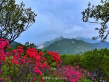 桐柏縣，淮河之源 坐標(biāo)桐柏山