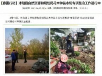 重拳出擊！江蘇沭陽(yáng)“打假”扣押苗木10萬(wàn)余株