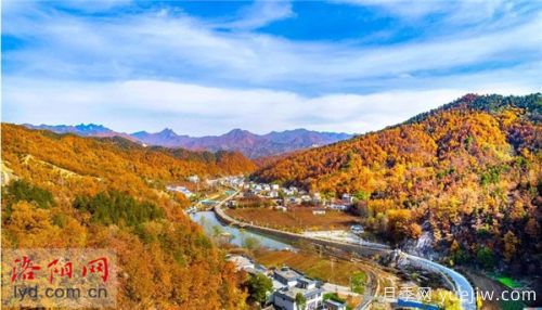 洛陽欒川：美麗產業(yè)蹚出富民路(圖1)