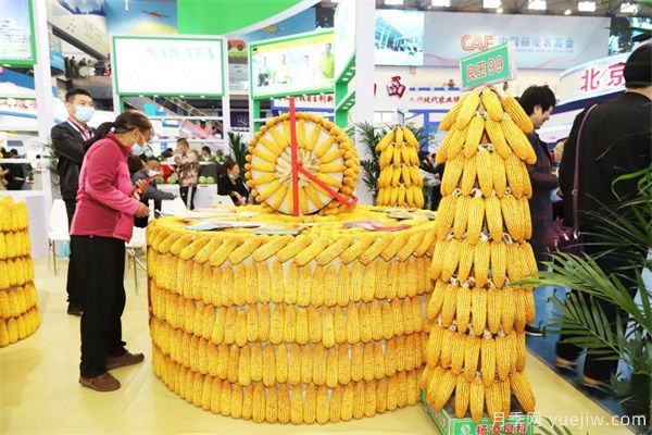 楊凌農(nóng)科盛會(huì)淘出新品種 栽下致富新苗(圖2)