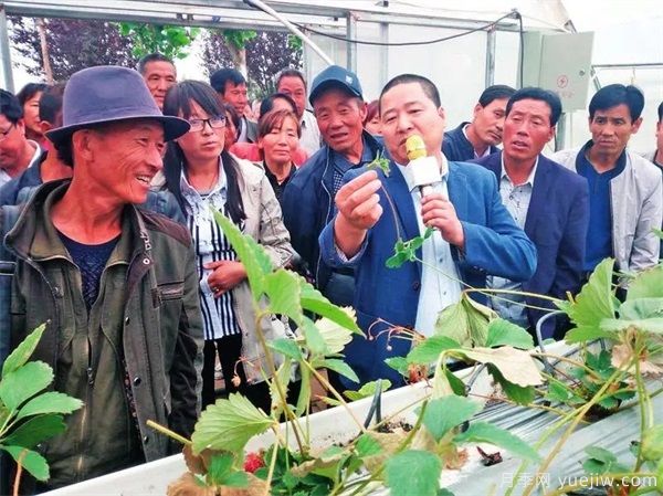 楊凌農(nóng)科盛會(huì)淘出新品種 栽下致富新苗(圖3)
