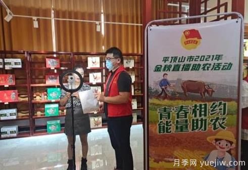 平頂山寶豐直播助農慶豐收(圖1)