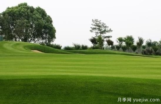 草坪何時(shí)需要澆水？(圖1)