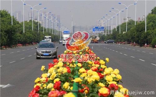 城市內(nèi)建設“月季大道”竟這么流行！(圖1)