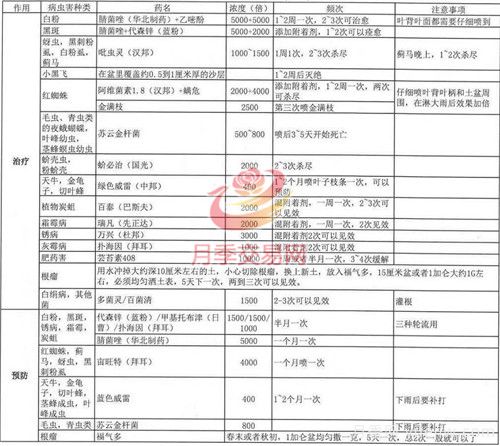 月季病蟲害種類及用藥總結，就看這張表(圖2)