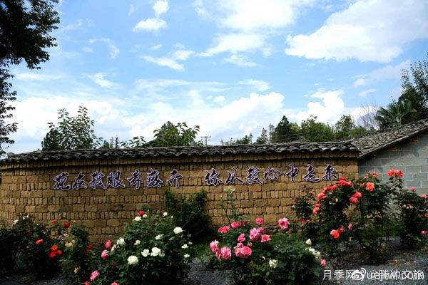月季與美麗鄉(xiāng)村：保山騰沖老寨子，花在我眼前盛開(圖3)