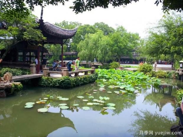 如何做好園林綠化工程決算？(圖1)