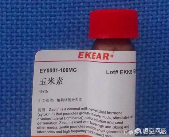 常見(jiàn)的花卉生長(zhǎng)調(diào)節(jié)劑都有哪些？它們都起什么作用？(圖3)