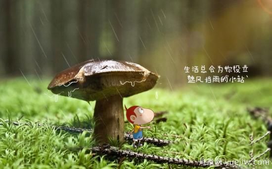 園林綠化常用的耐陰植物有哪些？(圖1)
