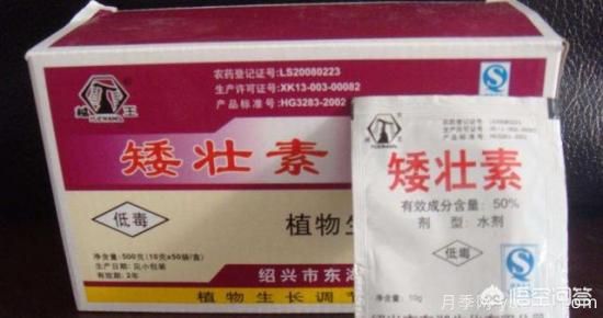 常見(jiàn)的花卉生長(zhǎng)調(diào)節(jié)劑都有哪些？它們都起什么作用？(圖4)