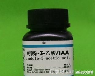 常見(jiàn)的花卉生長(zhǎng)調(diào)節(jié)劑都有哪些？它們都起什么作用？(圖2)