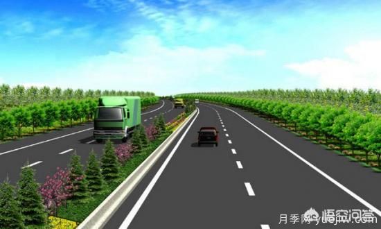 道路綠化苗木一般有哪些？(圖5)