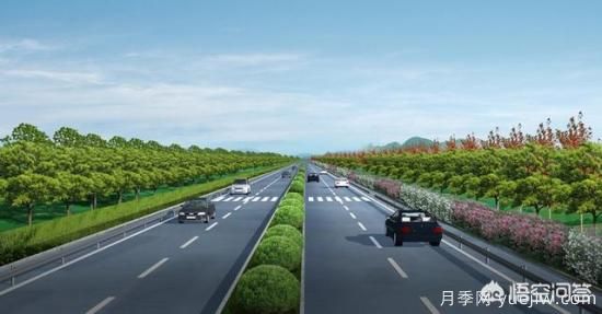 道路綠化苗木一般有哪些？(圖4)