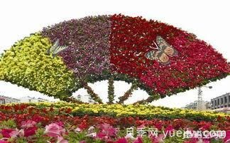 現(xiàn)在什么苗木種植前景好？(圖9)
