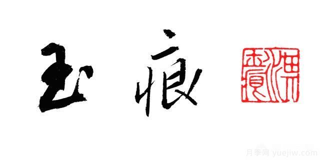 月季大藤本和小藤本都有哪些品種？栽種方式有沒(méi)有區(qū)別？(圖4)