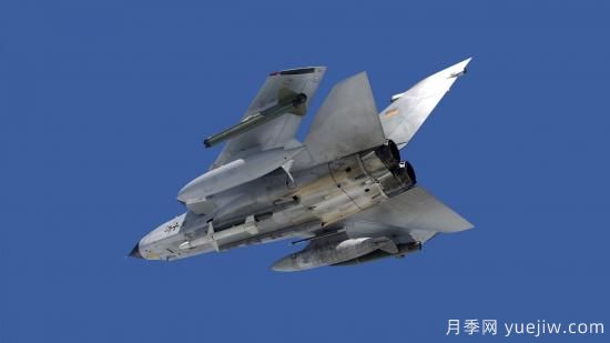 如何了解香檳玫瑰的種植？(圖2)