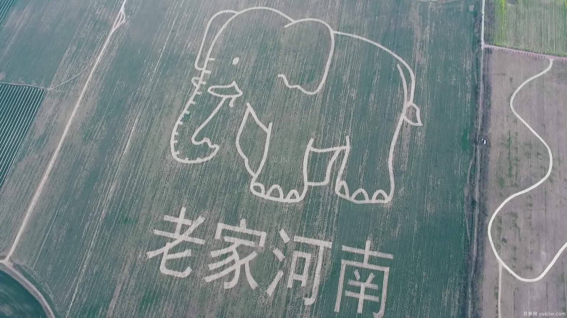 河南為什么被稱為“老家河南”？(圖1)