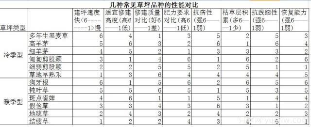 ***優(yōu)草坪品種分類(lèi)和搭配運(yùn)用(圖2)