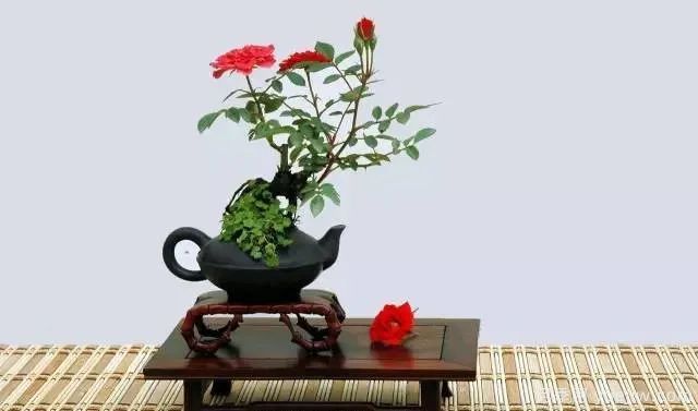 如何制作漂亮的月季盆景？藝術(shù)品來了(圖1)