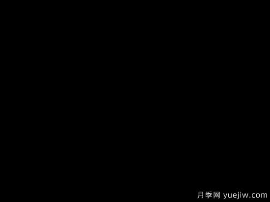 中國本土40個花卉品種介紹，我國是世界花園之母(圖30)
