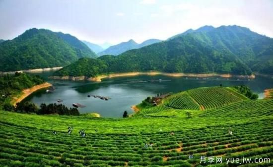 河南人口**大縣是誰？鄧州常住人口超124萬人，還是固始縣(圖2)
