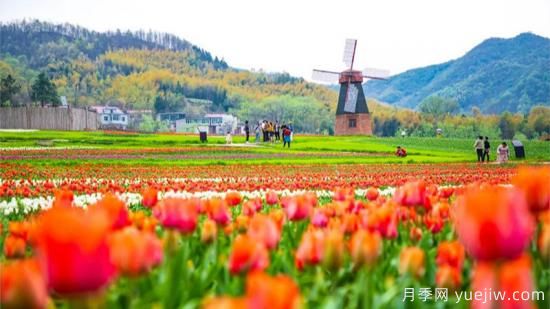 河南人口**大縣是誰？鄧州常住人口超124萬人，還是固始縣(圖1)