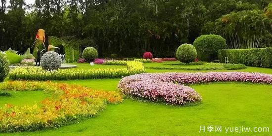 園林人必須知道的100個花卉基礎(chǔ)知識點(圖3)