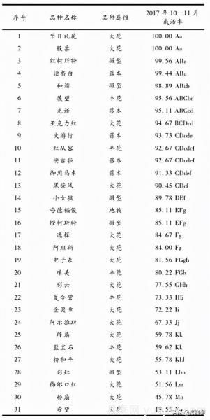湖南湘中地區(qū)月季露地扦插試驗(yàn)(圖4)