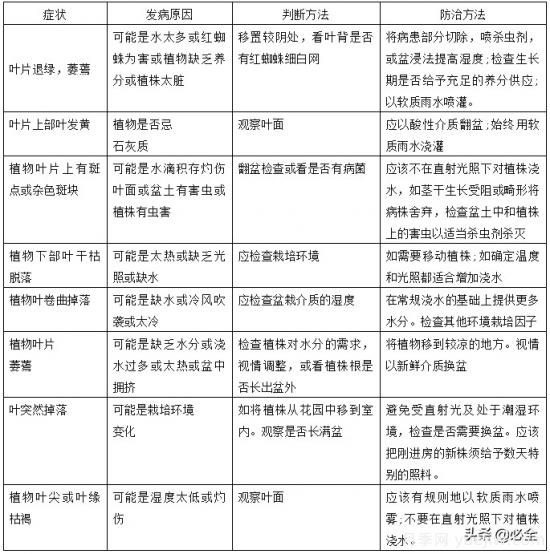 萬科綠化養(yǎng)護作業(yè)指導書(圖3)