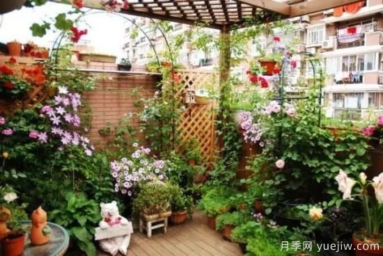 什么是園藝？就是用植物的生命影響人的生命！(圖1)