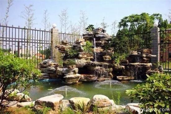 假山植物有哪些？如何造景？(圖1)