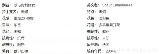 推薦高顏值且好養(yǎng)的10個藤本月季，看一眼就愛上(圖8)