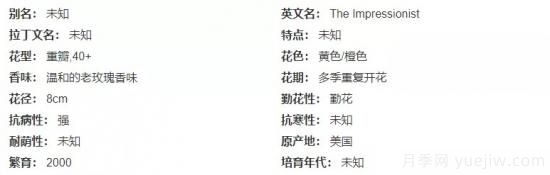 推薦高顏值且好養(yǎng)的10個藤本月季，看一眼就愛上(圖6)