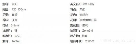 推薦高顏值且好養(yǎng)的10個藤本月季，看一眼就愛上(圖12)