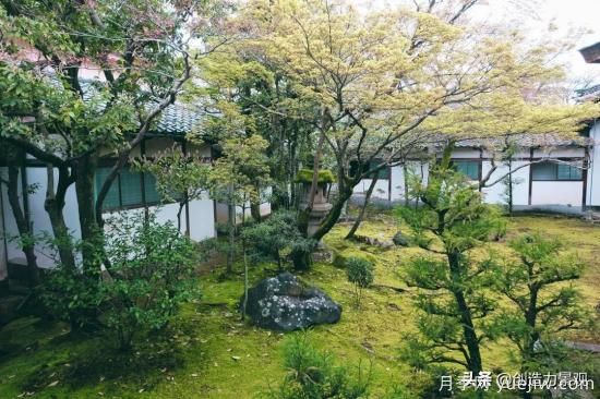 冬季植物應該怎么打理，才能來年依舊繁花似錦(圖2)